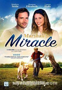 Mucize Köpek 2015 Filmi Türkçe Dublaj Full izle Mucize Köpek 2015 izle