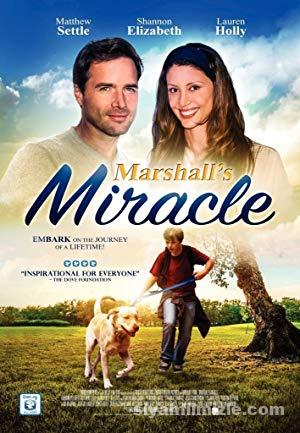 Mucize Köpek 2015 izle