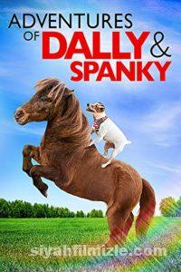 Dally ve Spanky’nin Maceraları 2019 Filmi Türkçe Dublaj izle Dally ve Spanky’nin Maceraları 2019 izle