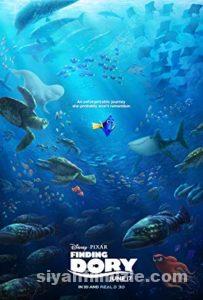 Kayıp Balık Dori 2016 Filmi Türkçe Dublaj Full izle Kayıp Balık Dori 2016 izle