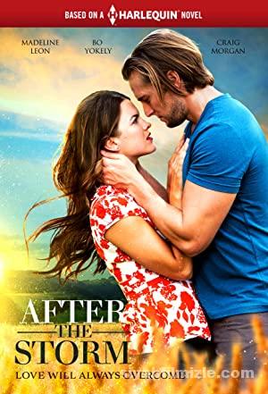 After the Storm (2019) izle