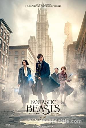 Fantastik Canavarlar Nelerdir, Nerede Bulunurlar? 2016 izle Fantastik Canavarlar Nelerdir, Nerede Bulunurlar? 2016 izle