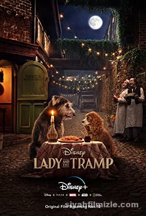 Leydi ile Sokak Köpeği 2019 izle