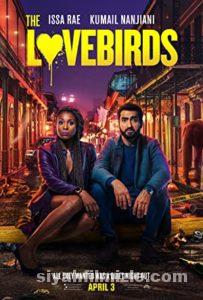 Aşk Kuşları 2020 Filmi Türkçe Dublaj Altyazılı Full izle Aşk Kuşları 2020 izle