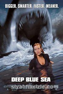 Mavi Korku 1999 Filmi Türkçe Dublaj Altyazılı Full izle Mavi Korku 1999 izle