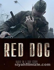 Red Dog 2017 Filmi Türkçe Dublaj Altyazılı Full izle Red Dog 2017 izle
