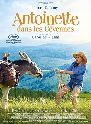 My Donkey, My Lover & I 2020 izle