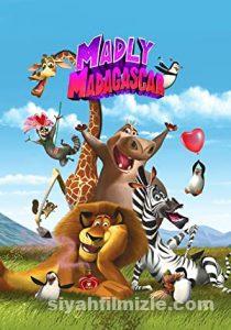 Madly Madagascar 2013 Filmi Türkçe Dublaj Altyazılı izle Madly Madagascar 2013 izle