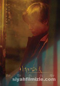 Shades Of The Heart 2019 Filmi Türkçe Dublaj Altyazılı izle Shades Of The Heart 2019 izle