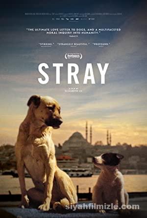 Stray 2020 Filmi Türkçe Dublaj Altyazılı Full izle Stray 2020 izle