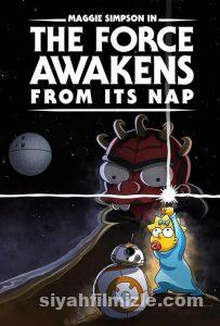 The Force Awakens from Its Nap izle The Force Awakens from Its Nap izle