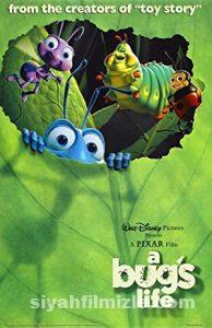 Bir Böceğin Yaşamı 1998 Filmi Türkçe Dublaj Altyazılı izle Bir Böceğin Yaşamı 1998 izle