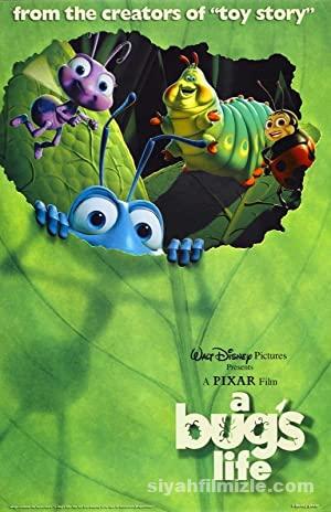Bir Böceğin Yaşamı 1998 Filmi Türkçe Dublaj Altyazılı izle Bir Böceğin Yaşamı 1998 izle