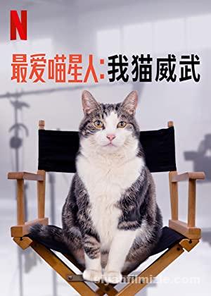 Kedi Aşkına 2020 Filmi Türkçe Dublaj Altyazılı Full izle Kedi Aşkına 2020 izle