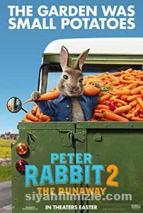 Peter Rabbit 2: Kaçak Tavşan 2021 Filmi Türkçe Dublaj izle Peter Rabbit 2: Kaçak Tavşan 2021 izle