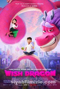 Sihirli Ejder 2021 izle