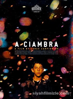 A Ciambra 2017 Filmi Türkçe Dublaj Altyazılı Full izle A Ciambra 2017 izle