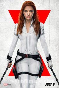 Kara Dul 2021 Filmi Türkçe Dublaj Altyazılı Full izle Kara Dul 2021 izle