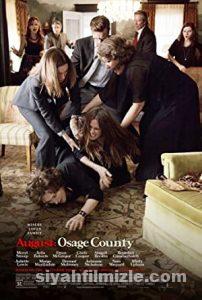 Aile Sırları 2013 izle