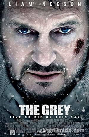 Gri Kurt 2011 Filmi Türkçe Dublaj Altyazılı Full izle Gri Kurt 2011 izle