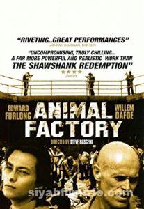 Hayvan Fabrikası 2000 Filmi Türkçe Dublaj Altyazılı izle Hayvan Fabrikası 2000 izle