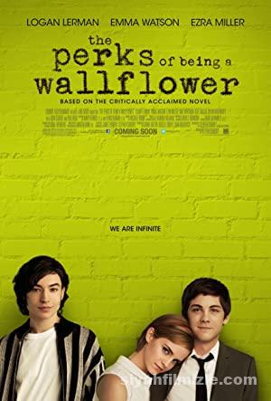 Saksı Olmanın Faydaları 2012 izle