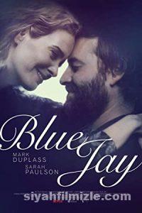 Blue Jay 2016 Filmi Türkçe Dublaj Altyazılı Full izle Blue Jay 2016 izle