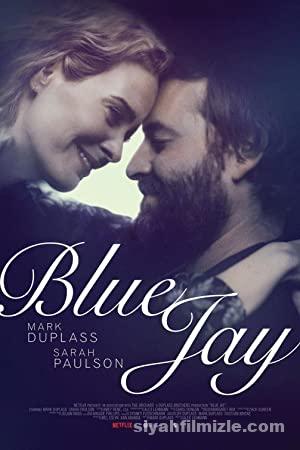 Blue Jay 2016 izle