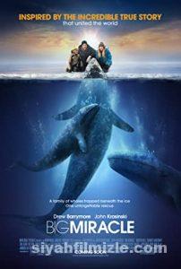 Büyük Mucize (Big Miracle) 2012 Filmi Full izle Büyük Mucize (Big Miracle) 2012 izle