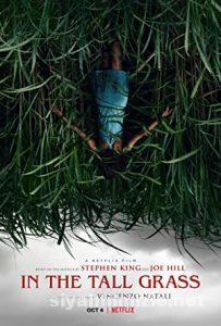 In the Tall Grass 2019 Filmi Türkçe Dublaj Full izle In the Tall Grass 2019 izle