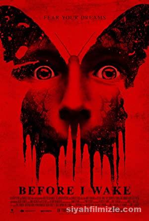 Kabustan Gelen 2016 izle