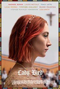 Uğur Böceği 2017 Filmi Türkçe Dublaj Altyazılı Full izle Uğur Böceği 2017 izle