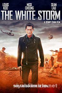 The White Storm 1 2013 Filmi Türkçe Dublaj Altyazılı izle The White Storm 1 2013 izle