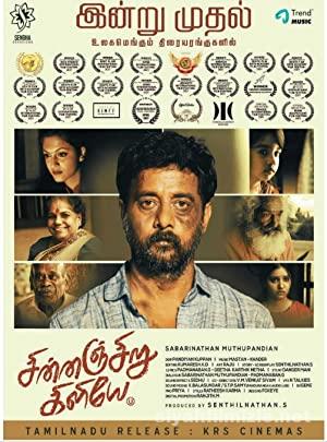Chinnanjiru Kiliye 2021 izle