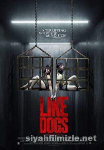 Like Dogs (2021) Türkçe Altyazılı Filmi Full izle Like Dogs (2021) izle