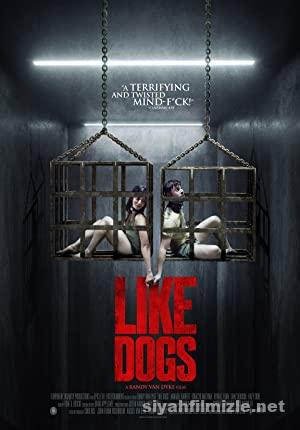 Like Dogs (2021) izle