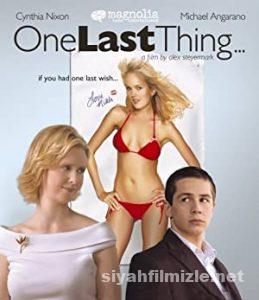 Son Dilek (One Last Thing) 2005 Filmi Türkçe Altyazılı izle Son Dilek (One Last Thing) 2005 izle