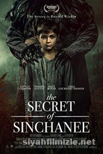 The Secret of Sinchanee 2021 Türkçe Dublaj Altyazılı izle The Secret of Sinchanee 2021 izle