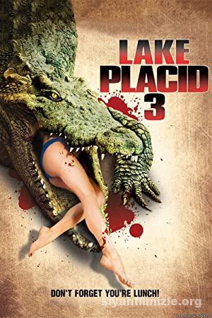 Kara Göl 3 2010 Filmi Türkçe Dublaj Altyazılı Full izle Kara Göl 3 2010 izle