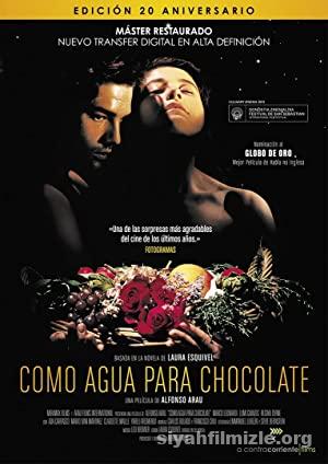Acı Çikolata 1992 Filmi Türkçe Dublaj Altyazılı Full izle Acı Çikolata 1992 izle