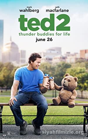 Ayı Teddy 2 2015 izle