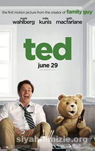 Ayı Teddy Film Serisi