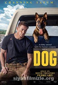 Köpek (Dog) 2022 Filmi Türkçe Dublaj Altyazılı Full izle Köpek (Dog) 2022 izle
