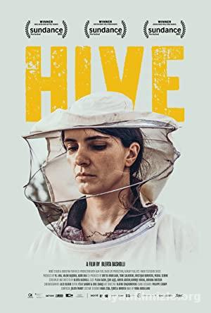 Kovan (Hive) 2021 izle