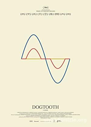 Köpek Dişi 2009 Filmi Türkçe Dublaj Altyazılı Full izle Köpek Dişi 2009 izle