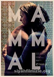 Mammal 2016 Filmi Türkçe Dublaj Altyazılı Full izle Mammal 2016 izle