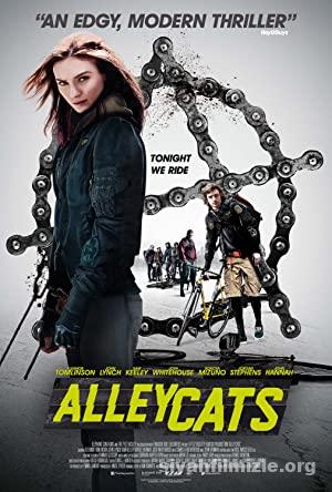 Sokak Kedileri 2016 izle