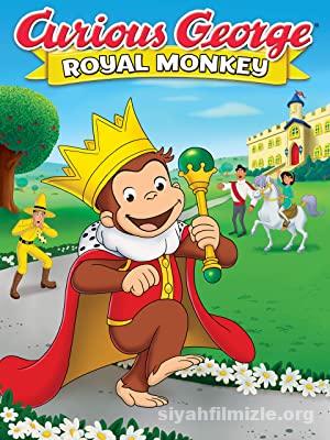 Meraklı Maymun Sarayda izle