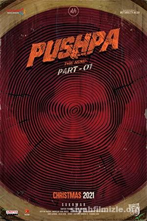 Pushpa: The Rise 2021 izle