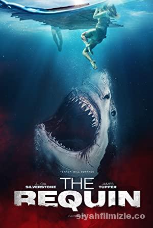 Dipten Gelen 2022 Filmi Türkçe Dublaj Altyazılı Full izle Dipten Gelen 2022 izle